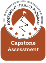 Capstone Assessment Image